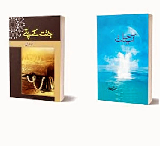 ABE HAYAT & JANNAT K PATTAY  ( SET OF 2 BOOKS )