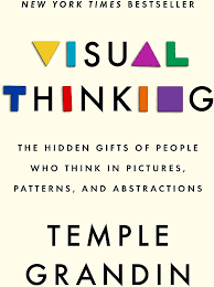 Visual Thinking
